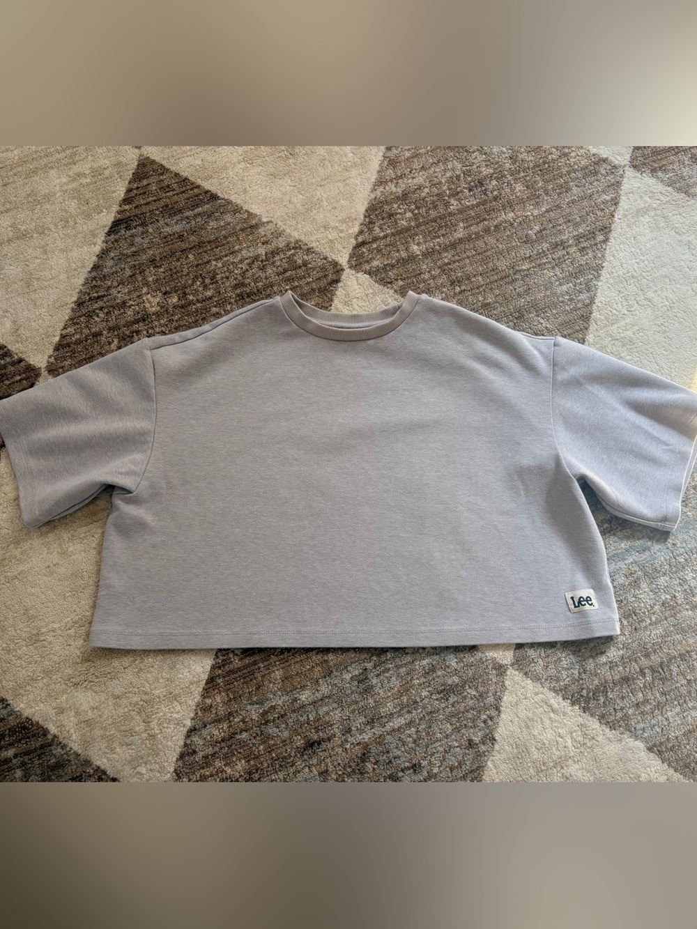 Lee Boxy Cropped Crewneck Tee - Light Gray